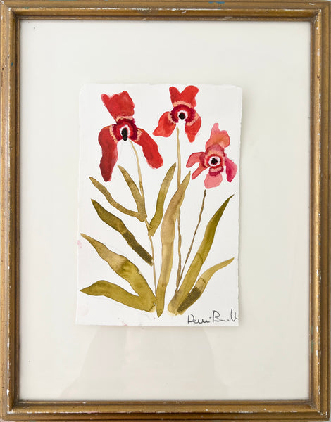 Marni Red