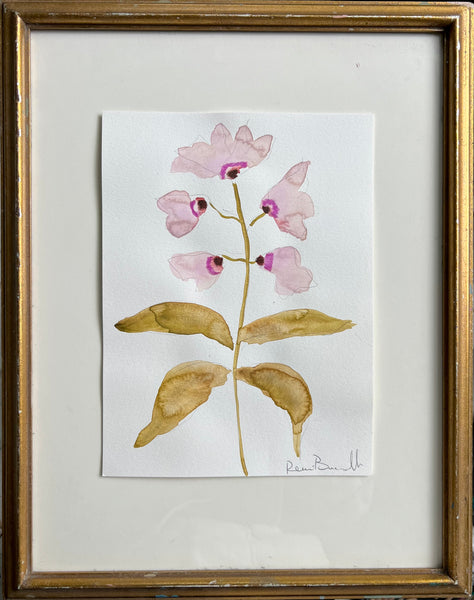 Cordelia Series III No. 2