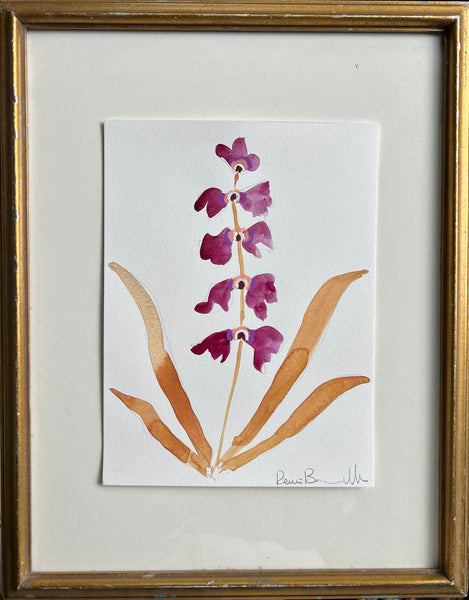 Cordelia Series III No. 7