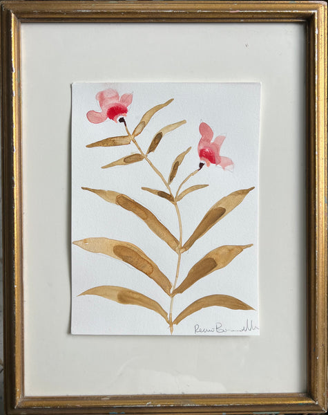 Cordelia Series III No. 12