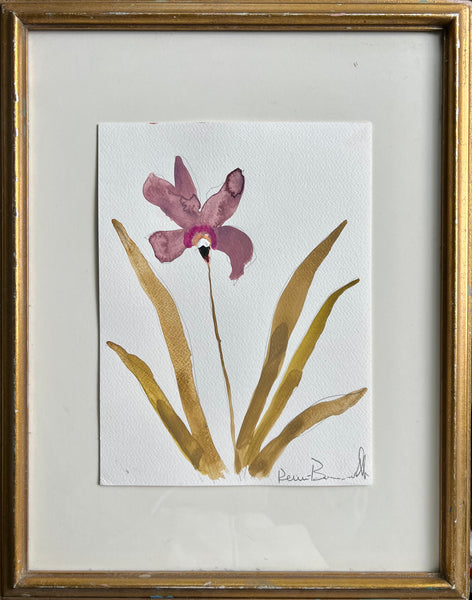 Cordelia Series III No. 8