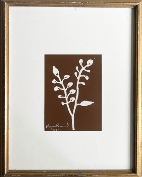 Impression de Fleurs No. 21  (white on mocha)
