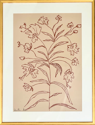 In the Eye of the Pomegranates