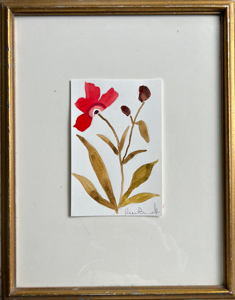 Cordelia Series III No. 1